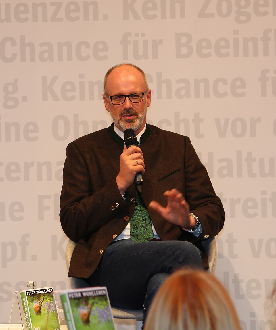 Peter Wohlleben portréja