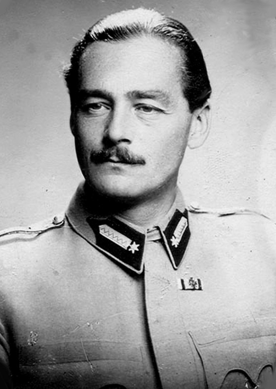 Wass Albert portréja