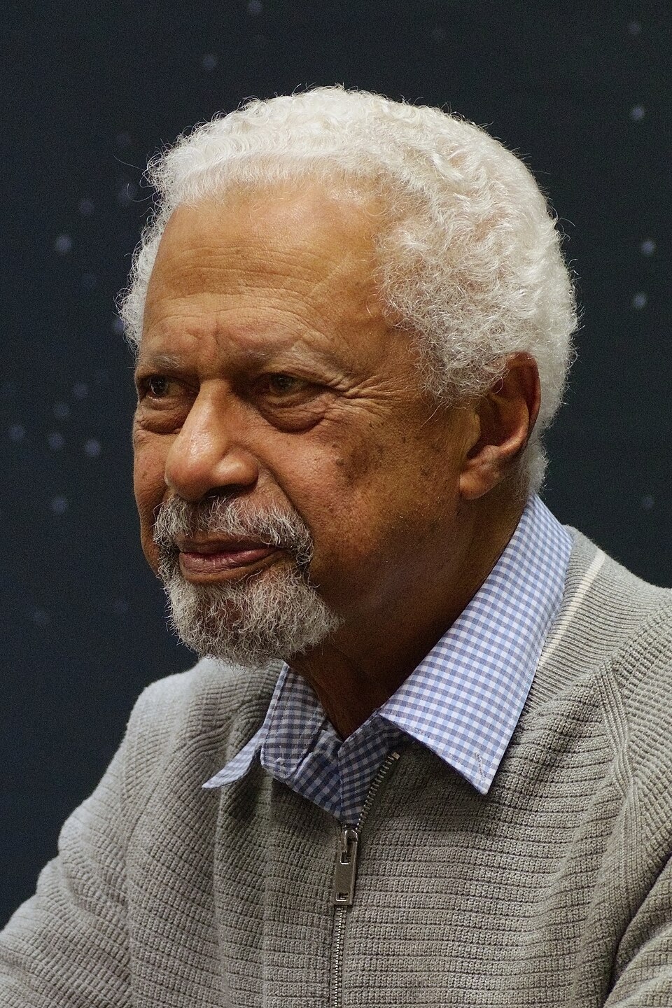 Abdulrazak Gurnah portréja