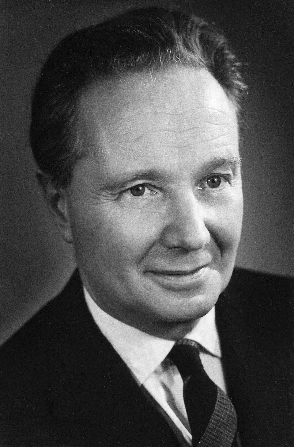 Robert Merle portréja