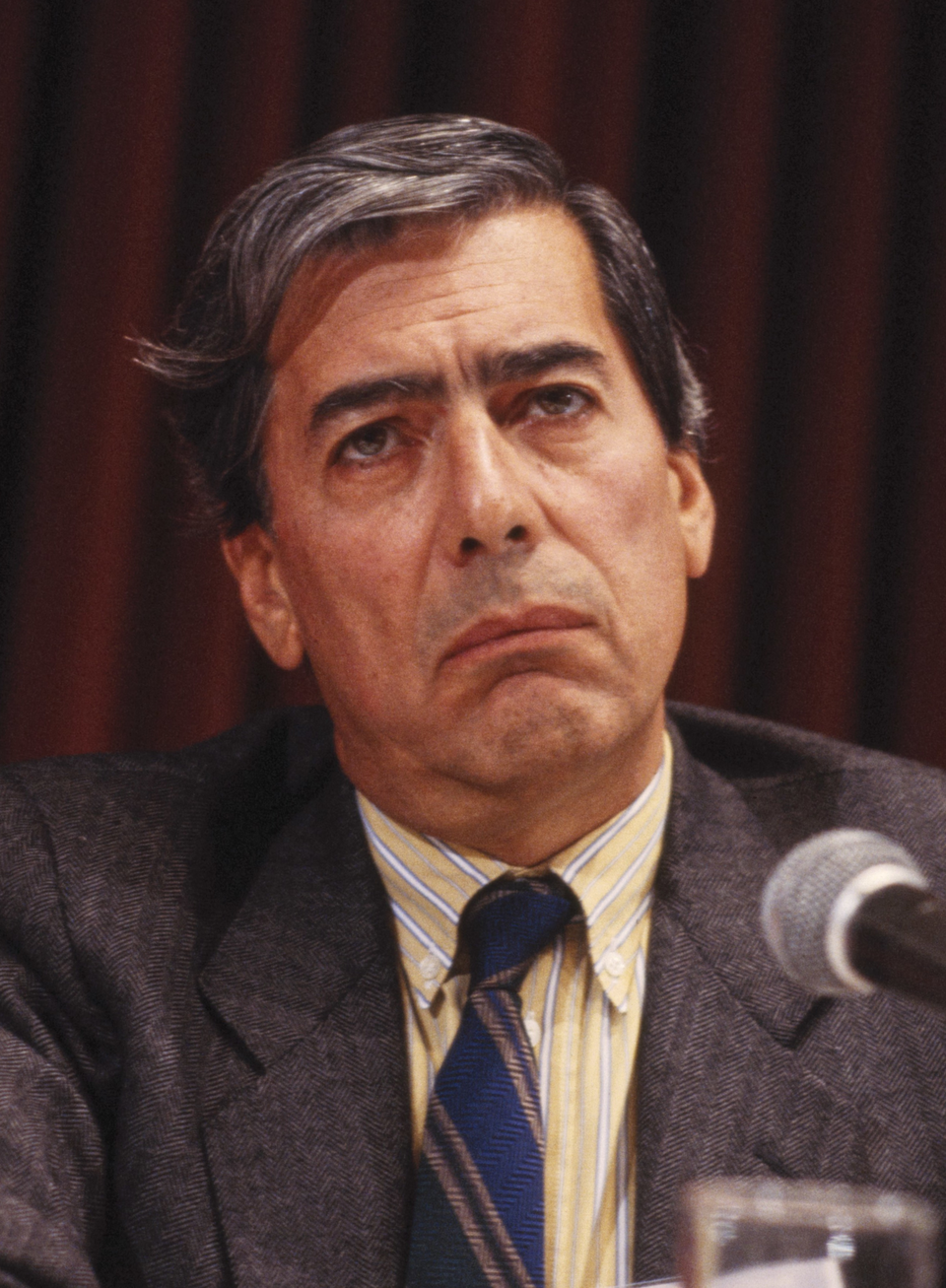 Mario Vargas Llosa portréja