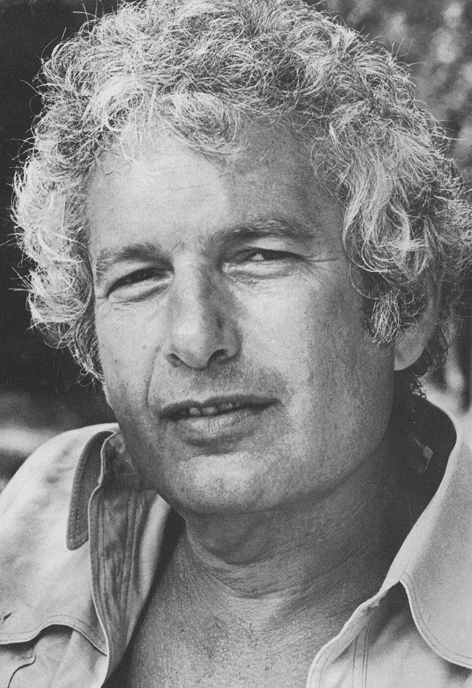 Joseph Heller portréja