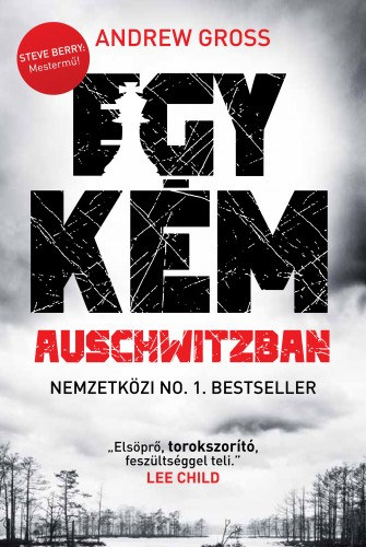Egy kém Auschwitzban – Andrew Gross borító
