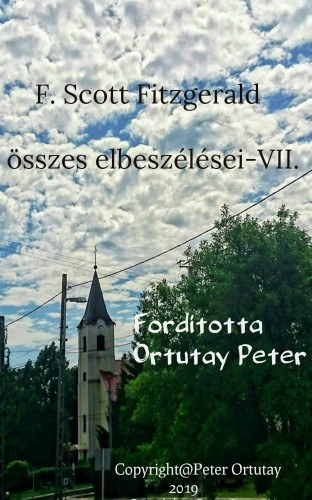 F. Scott Fitzgerald összes elbeszélései-VII. – F. Scott Fitzgerald borító