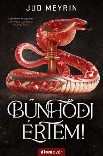 Bűnhődj értem! – Jud Meyrin borító
