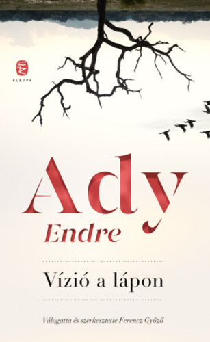 Vízió a lápon – Ady Endre borító