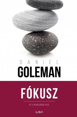 Fókusz – Daniel Goleman borító