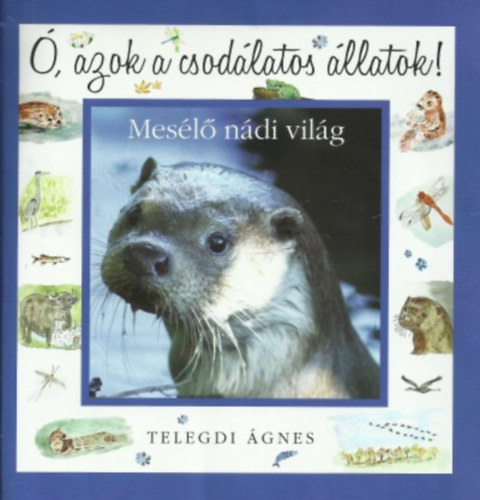 Mesélő nádi világ – Telegdi Ágnes borító