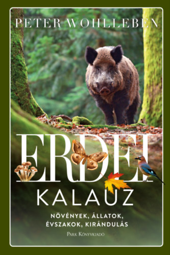 Erdei kalauz – Peter Wohlleben borító