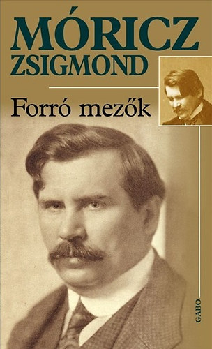 Forró mezők – Móricz Zsigmond borító