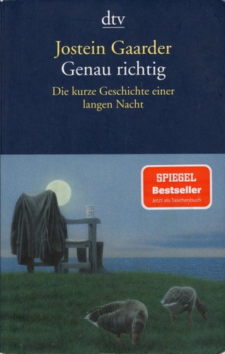 Éppen jó – Jostein Gaarder borító