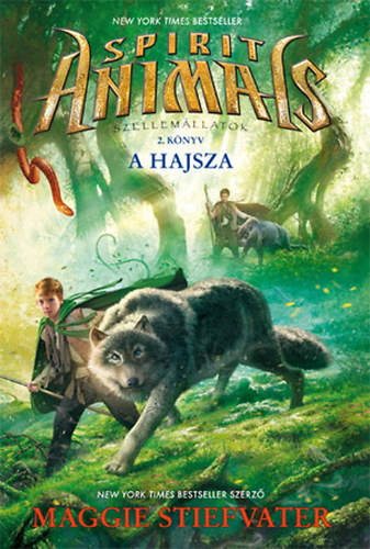 A hajsza – Maggie Stiefvater borító