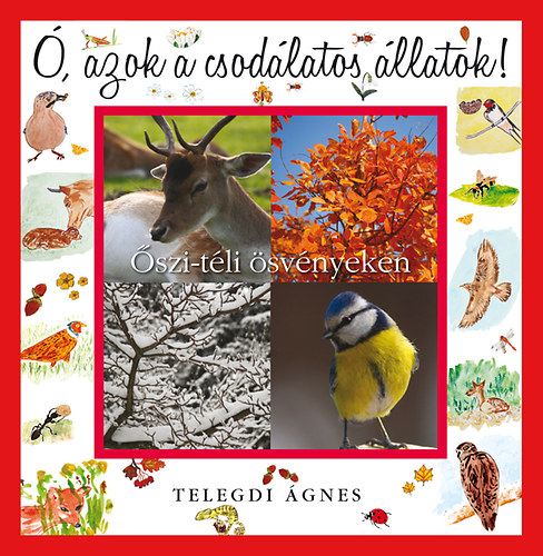 Őszi-téli ösvényeken – Telegdi Ágnes borító