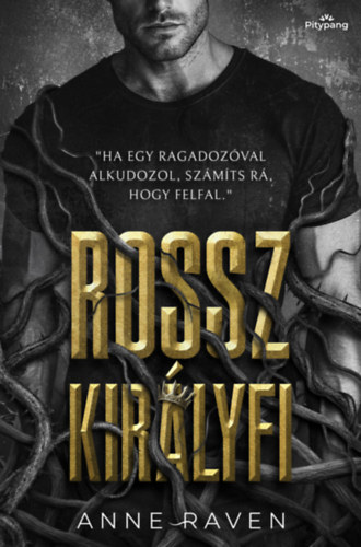 Rossz királyfi – Anne Raven borító