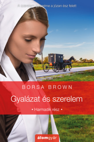 Gyalázat és szerelem – Borsa Brown borító