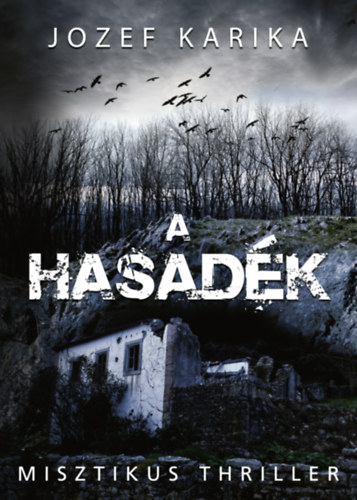 A hasadék – Jozef Karika borító