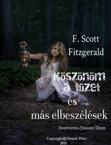 Köszönöm a tüzet és más elbeszélések – F. Scott Fitzgerald borító