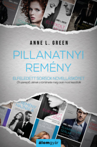 Pillanatnyi remény (novella) – Anne L. Green borító