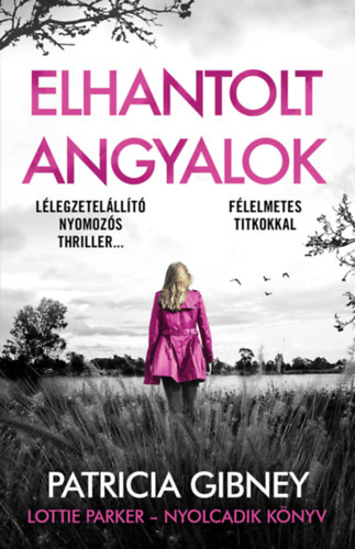 Elhantolt angyalok – Patricia Gibney borító