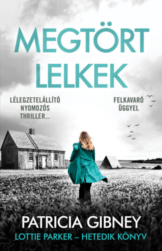 Megtört lelkek – Patricia Gibney borító