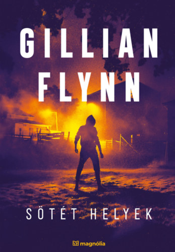 Sötét helyek – Gillian Flynn borító