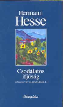 Csodálatos ifjúság – Hermann Hesse borító