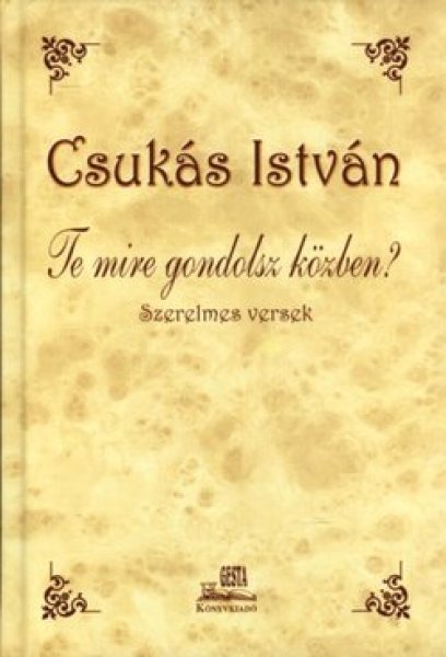 Te mire gondolsz közben? – Csukás István borító