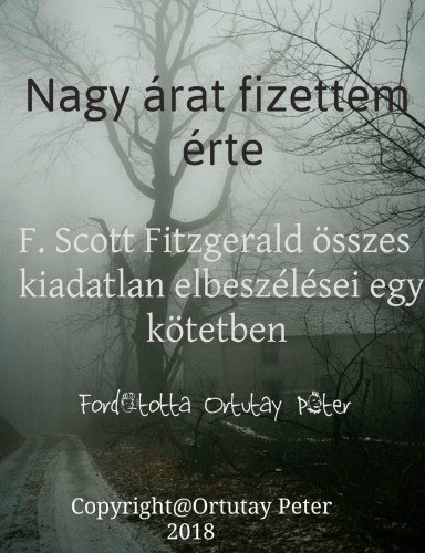 Nagy árat fizettem érte - F.Scott Fitzgerald összes eddig kiadatlan elbeszélései egy kötetben – F. Scott Fitzgerald borító